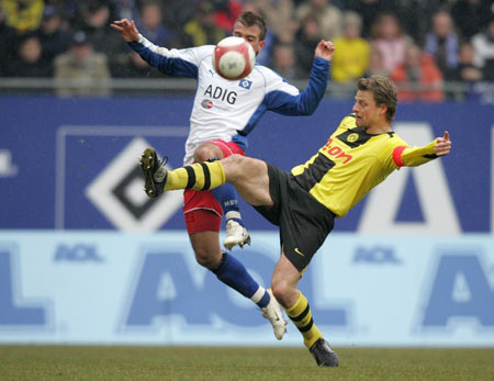 有数量众多 有数量众多